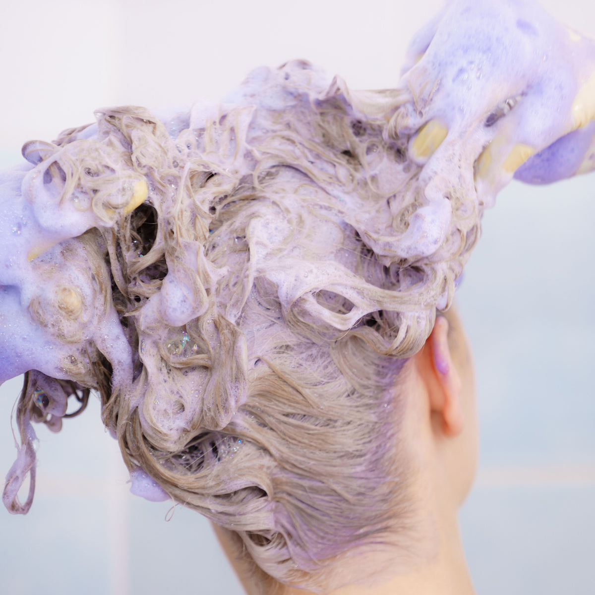 Blonde hair being cleansed with a purple-toned lather designed for a platinum haircare routine.